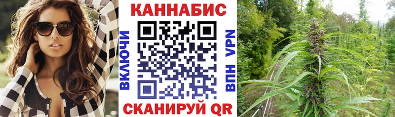 Конопля гибрид Комсомольск-на-Амуре